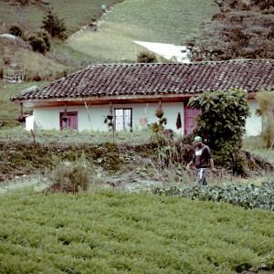 Montañi marinilla